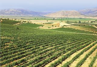 Likya ©Wines of Turkey